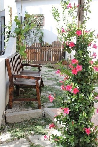 Gelsomino Rooms Ravello Exteriör bild
